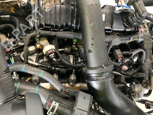 Engine FORD TRANSIT V363 Platform/Chassis (FED, FFD) 2.0 EcoBlue | BP34435492M1  - Image 6