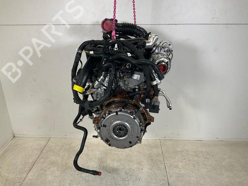 Engine FORD TRANSIT V363 Platform/Chassis (FED, FFD) 2.0 EcoBlue | BP18916512M1 