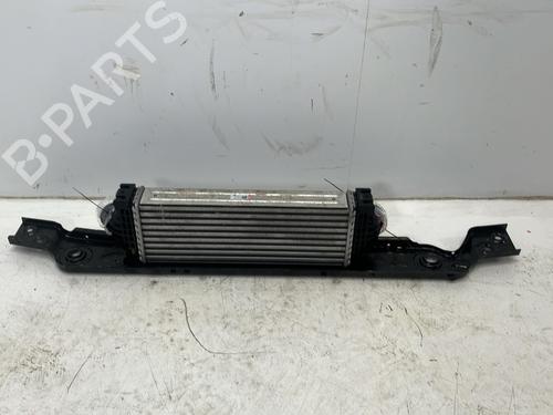 Radiator set FORD TRANSIT V363 Platform/Chassis (FED, FFD) 2.0 EcoBlue | BP32266058M120 
