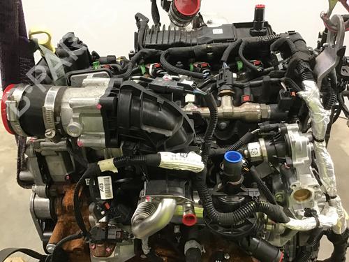 Engine FORD TRANSIT V363 Platform/Chassis (FED, FFD) 2.0 EcoBlue | BP19572951M1