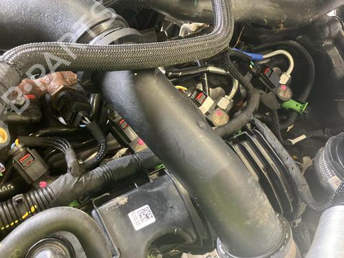 Engine FORD TRANSIT V363 Platform/Chassis (FED, FFD) 2.0 EcoBlue | BP34692867M1 - Image 12