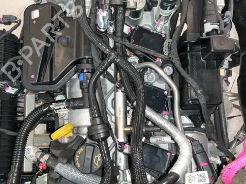 Engine FORD FOCUS IV Turnier (HP) 1.5 EcoBoost | BP38017442M1 - Image 7