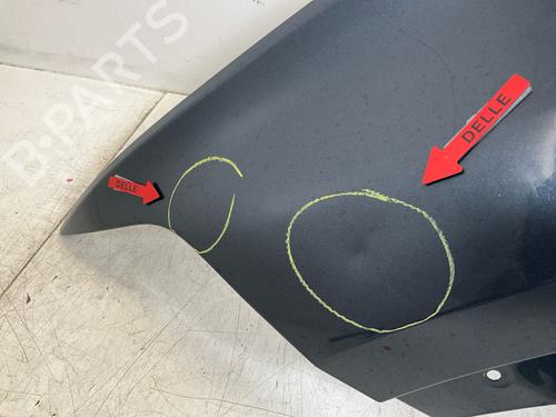 Left front fenders BMW X5 (G05, F95) xDrive 45 e Plug-in-Hybrid | BP17739498C41 