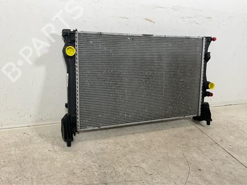 Water radiator MERCEDES-BENZ VITO Van (W447) 114 CDI (447.601, 447.603, 447.605) | BP20313524M31 