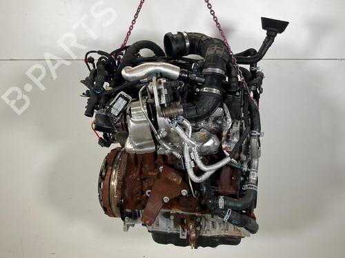 Used Engine Engine FORD TRANSIT V363 Platform/Chassis (FED, FFD) 2.0 EcoBlue (170 hp) 40040452 40040452