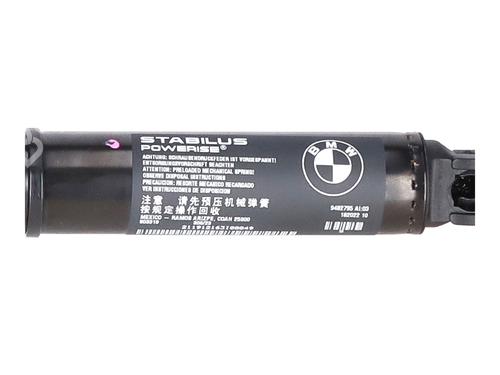 Tailgate lift support BMW X3 (G01, F97, G08) xDrive 20 d | BP29273898C138 