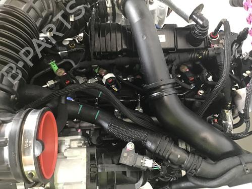 Engine FORD TRANSIT V363 Platform/Chassis (FED, FFD) 2.0 EcoBlue | BP19698287M1 