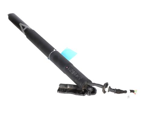 Amortecedor da mala BMW X5 (G05, F95) xDrive 40 d Mild-Hybrid (340 hp) 33213763