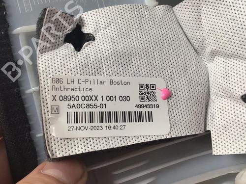 Interior roof BMW X6 (G06, F96) xDrive 40 d Mild-Hybrid | BP30290570I12 