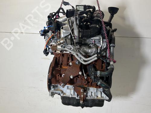 BP32731429M1 main image