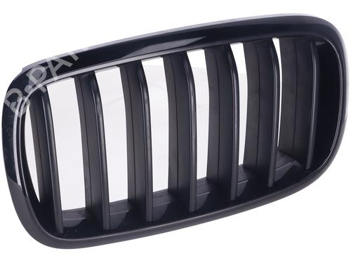 Grill BMW X6 (F16, F86) M 50 d (381 hp) 14581121