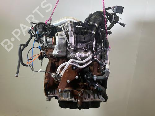 Engine FORD TRANSIT V363 Platform/Chassis (FED, FFD) 2.0 EcoBlue | BP36256076M1  - Image 7