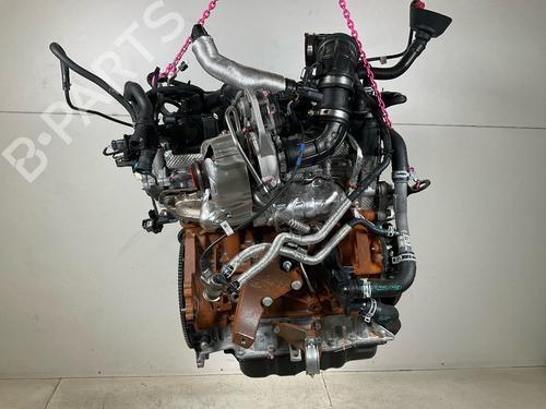 Used Engine FORD TRANSIT V363 Platform/Chassis (FED, FFD) 2.0 EcoBlue (170 hp) 19398641