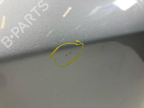 Left front door MERCEDES-BENZ S-CLASS (W222, V222, X222) S 350 BlueTEC / d (222.132, 222.032, 222.123) | BP28134395C2