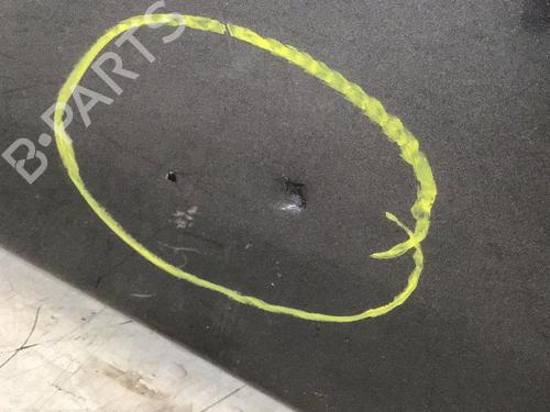 Dør venstre bagtil AUDI Q8 (4MN, 4MT) 55 TFSI e quattro | BP31016744C4 