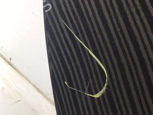 Right rear door KIA PICANTO I (SA) 1.1 CRDi | BP32231471C5