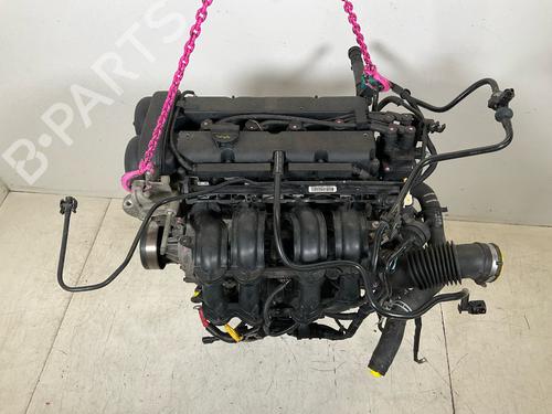 Engine FORD FIESTA VI (CB1, CCN) 1.25 | BP18203189M1 