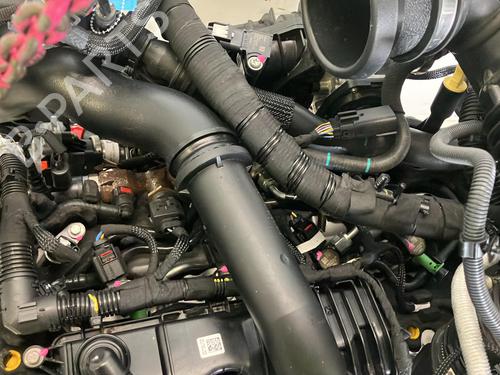 Engine FORD TRANSIT V363 Platform/Chassis (FED, FFD) 2.0 EcoBlue | BP33324775M1 - Image 5