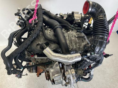 Engine FORD TRANSIT V363 Platform/Chassis (FED, FFD) 2.0 EcoBlue | BP18916512M1 