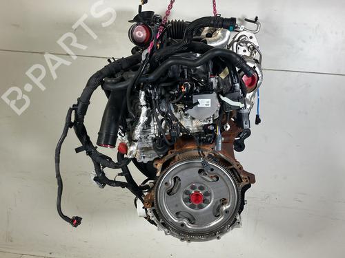 Used Engine FORD TRANSIT V363 Platform/Chassis (FED, FFD) 2.0 EcoBlue (170 hp) 32268011