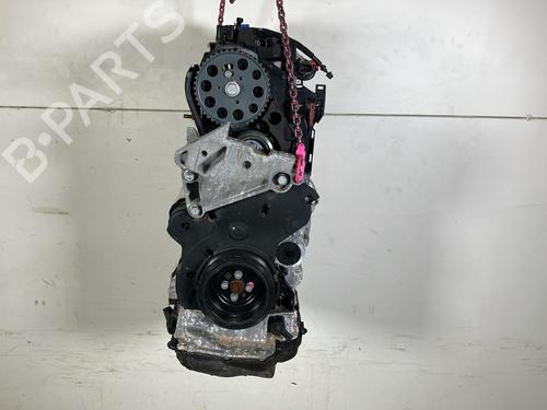 Engine VW TIGUAN (CT1) 2.0 TDI 4motion | BP39921833M1 - Image 3