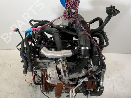 Engine FORD TRANSIT V363 Platform/Chassis (FED, FFD) 2.0 EcoBlue | BP37425082M1 - Image 7