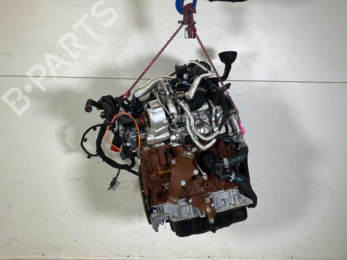 Used Engine Engine FORD TRANSIT V363 Platform/Chassis (FED, FFD) 2.0 EcoBlue (170 hp) 34197484 34197484