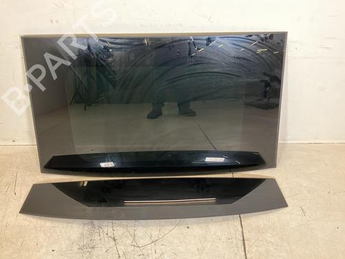 Techo Techo PORSCHE PANAMERA (971) 2.9 4 E-Hybrid (97ABE1, 97BBE1) (330 hp) 34197352 34197352