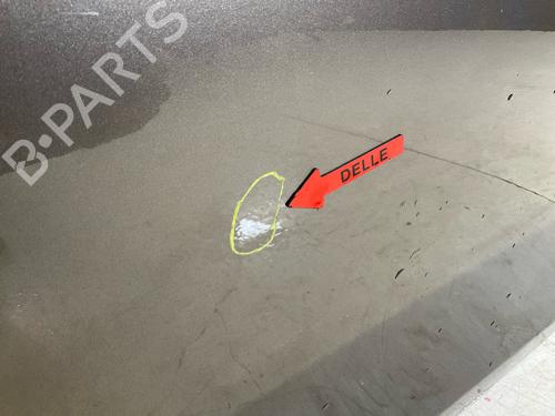 Left rear door FIAT BRAVO II (198_) 1.6 D Multijet (198AXL1B) | BP18106736C4 