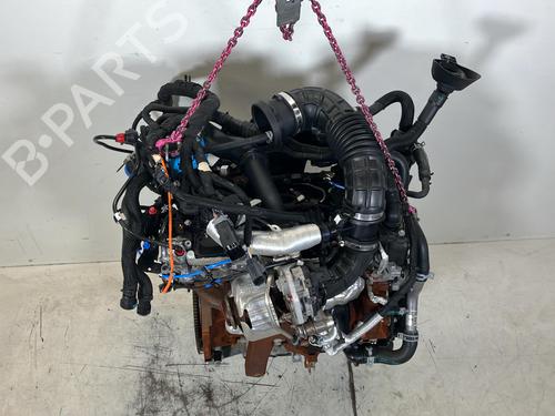 Engine FORD TRANSIT V363 Platform/Chassis (FED, FFD) 2.0 EcoBlue | BP40040446M1  - Image 7