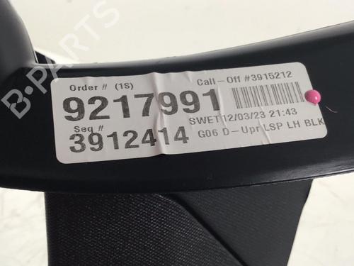 Interior roof BMW X6 (G06, F96) xDrive 40 d Mild-Hybrid | BP30290570I12 