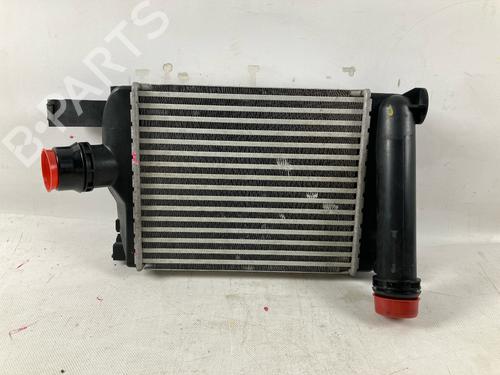 Intercooler DACIA DUSTER (HM_) 1.0 LPG (HMMT) | BP20335522M30 