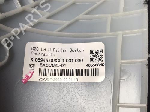 Interior roof BMW X6 (G06, F96) xDrive 40 d Mild-Hybrid | BP30290570I12 