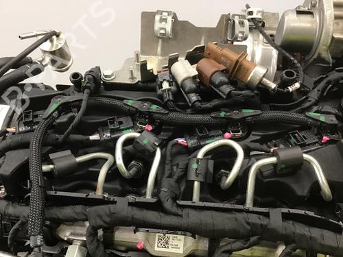 Engine VW GOLF VIII (CD1, DA1) 2.0 TDI 4motion | BP28308104M1 