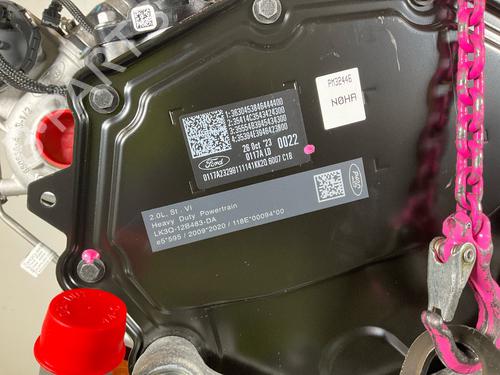 Engine FORD TRANSIT V363 Platform/Chassis (FED, FFD) 2.0 EcoBlue | BP19572951M1
