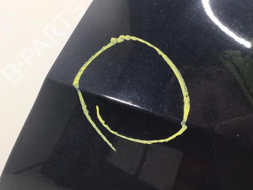 Left front door VW PASSAT CC B6 (357) 2.0 BlueTDI | BP32092536C2 