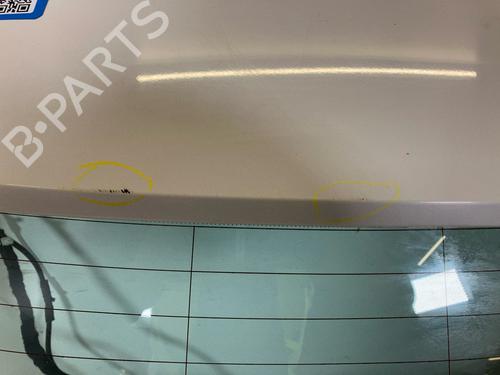 Tailgate BMW 3 Touring (F31) 330 d xDrive | BP16209497C6 