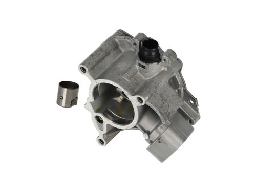 Vacuum pump VW ARTEON (3H7, 3H8) 2.0 TSI R | BP17516948M80 