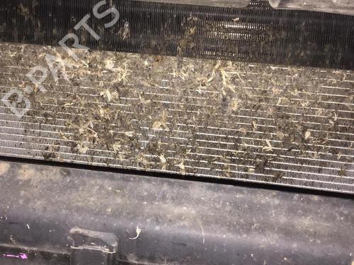 Radiator set VW TOUAREG (7P5, 7P6) 3.0 V6 TDI | BP32425554M120 