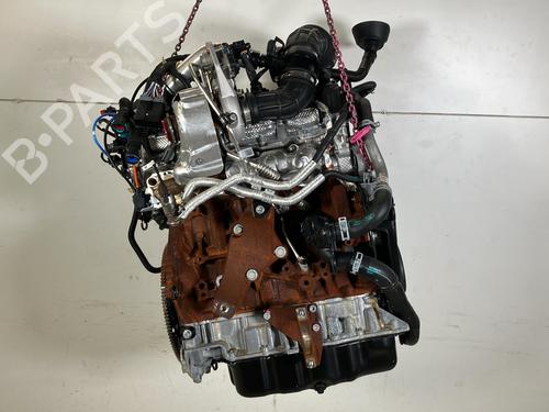 Engine FORD TRANSIT V363 Platform/Chassis (FED, FFD) 2.0 EcoBlue | BP33428908M1  - Image 7