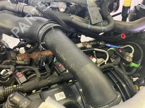 Motor für Motor FORD TRANSIT V363 Platform/Chassis (FED, FFD) 2.0 EcoBlue (170 hp) 34519353 34519353