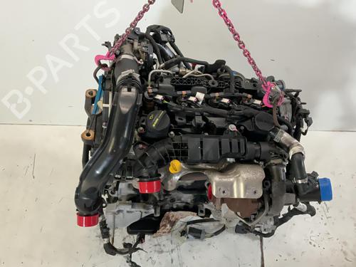 Engine FORD TRANSIT CONNECT MPV 1.5 EcoBlue | BP37530051M1 - Image 6