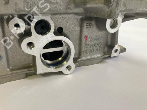 Cylinder head FORD FIESTA VII (HJ, HF) 1.5 ST EcoBoost | BP19101394M5 