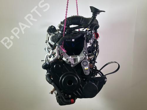 Motor FORD TRANSIT V363 Platform/Chassis (FED, FFD) 2.0 EcoBlue | BP35790747M1 - Image 11