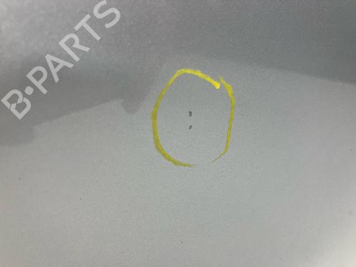 Left front door MERCEDES-BENZ S-CLASS (W222, V222, X222) S 350 BlueTEC / d (222.132, 222.032, 222.123) | BP28134395C2