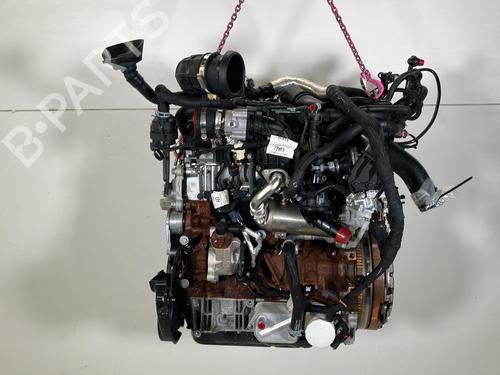 Used Engine Engine FORD TRANSIT V363 Platform/Chassis (FED, FFD) 2.0 EcoBlue (170 hp) 40037990 40037990