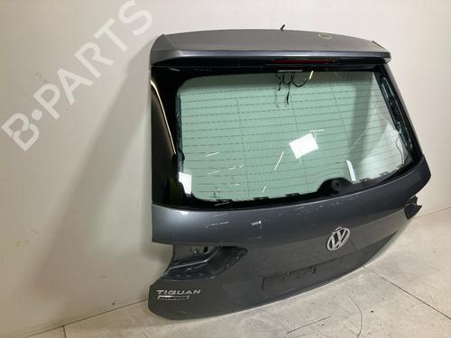 Tailgate VW TIGUAN ALLSPACE (BW2, BJ2) 2.0 TDI | BP21563552C6 