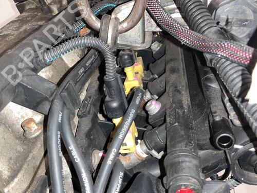 Engine FIAT PANDA (169_) 1.2 (169.AXB11, 169.AXB1A) | BP37587714M1 - Image 7