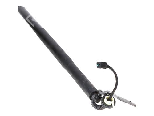 tailgate-lift-support-bmw-x6-g06-f96-2019-33882193 main image