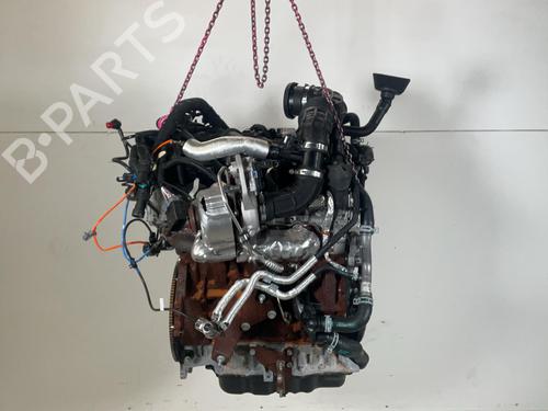 Used Engine Engine FORD TRANSIT V363 Platform/Chassis (FED, FFD) 2.0 EcoBlue (170 hp) 40259106 40259106